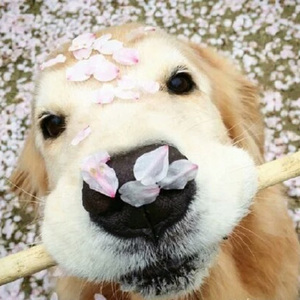 无尽怪物粗暴肛交
