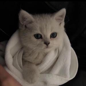 无尽怪物粗暴肛交
