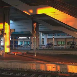 无尽怪物粗暴肛交
